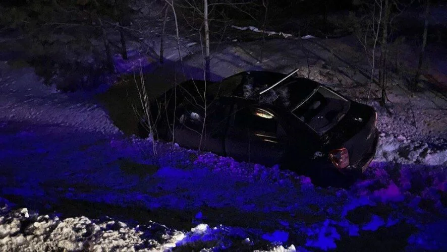 Изображение к публикации «В Елабуге водитель Chevrolet сбил лося и сам серьезно пострадал»
